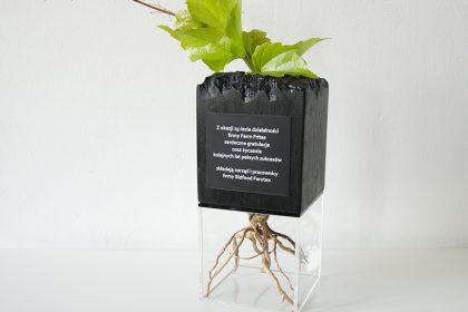 Statuette 2 in 1